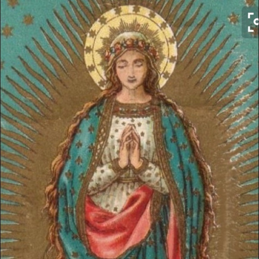 Meet your Posher, Isabella